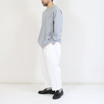 VANTS